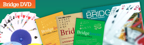 Bridge DVD