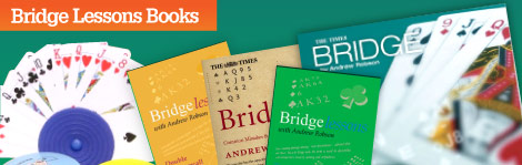 Bridge Lessons Books