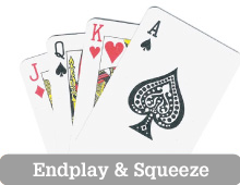 Endplay&Squeeze